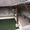 La Fontaine au Bron - Le lavoir et ses poissons