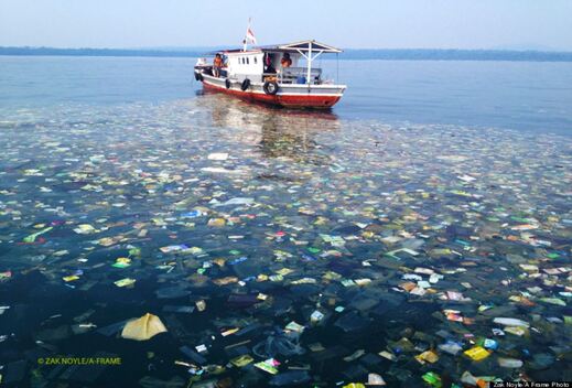 La pollution des océans