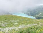 Du 29 juin au 4 juillet Le Beaufortain