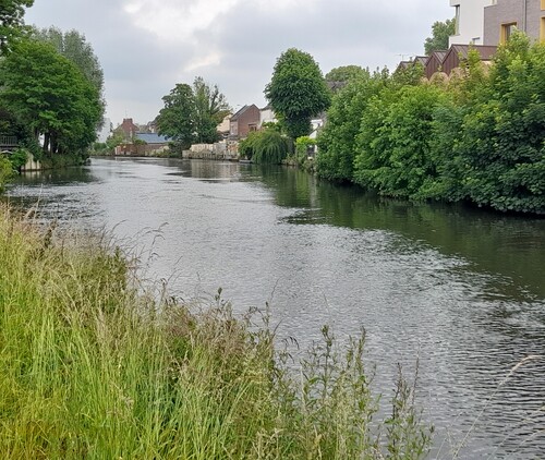 Les hortillonages à Amiens