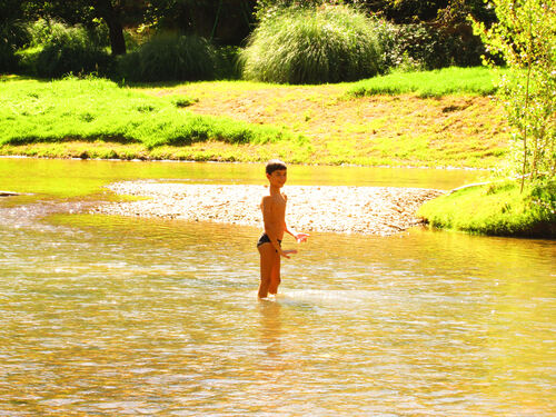 Dylan à la rivière