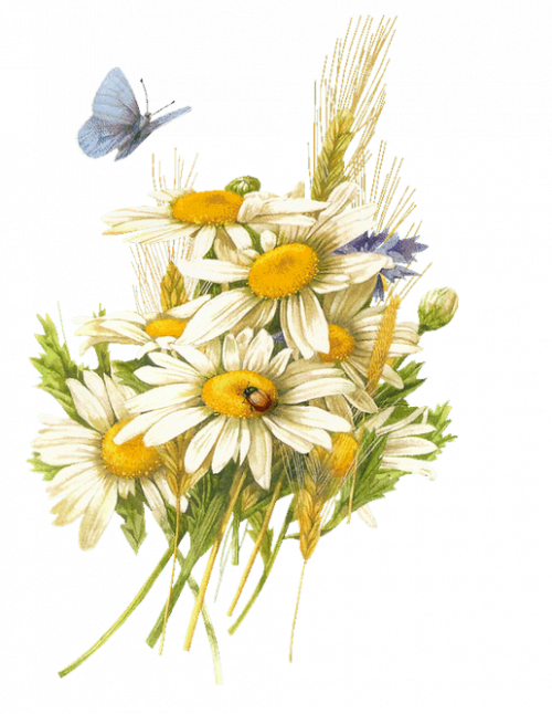 tubos de flores / ramos