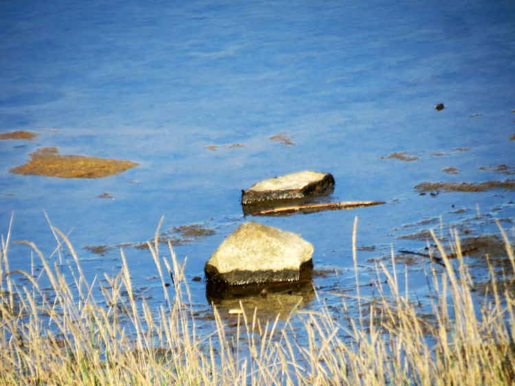 Guidel-Plage (Morbihan) - Etang du Loch