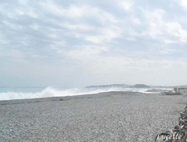 Promenade éventée au bord de la mer