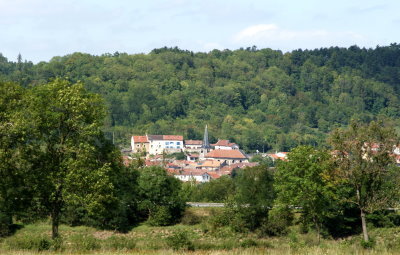 foug-dans-la-nature.jpg