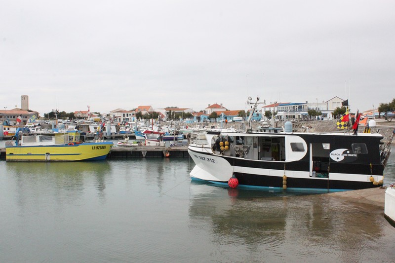 830 - Tour d’Oléron en CCar…