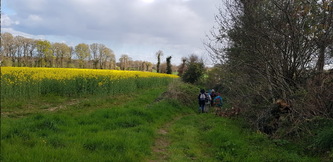 Mardi 6  : randonnée à Languenan