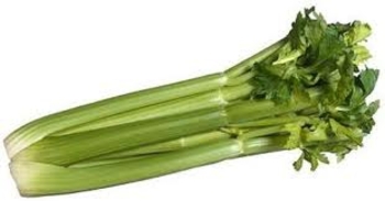 branche de celeri