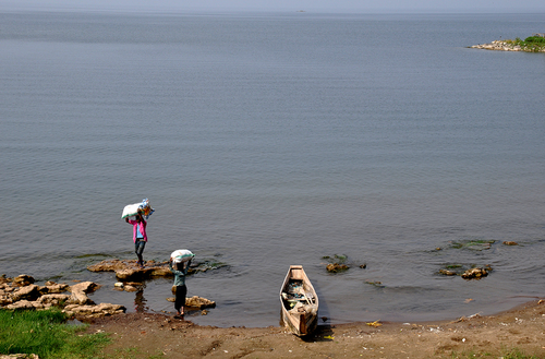 Autour du Lac Kivu (2)