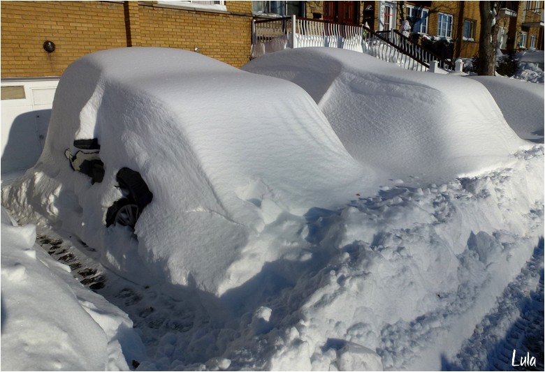  Au lendemain de la tempête de neige