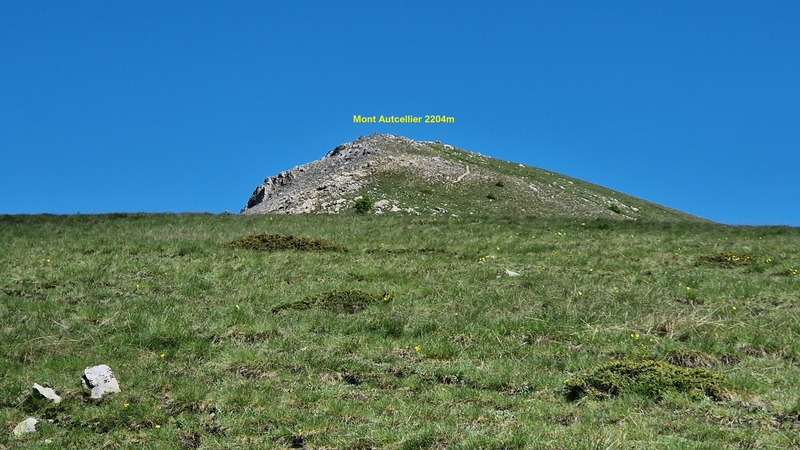 Le Mont Autcellier 16 Juin 2024