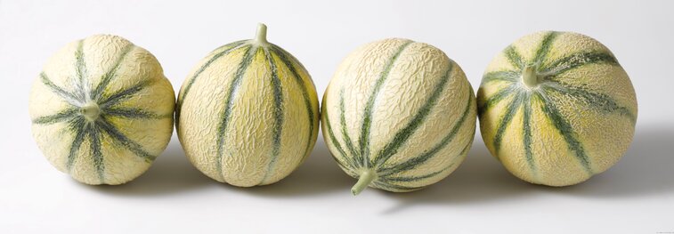 MARSEILLE - Mamiekéké vous conte l'histoire des melons de COUCOURDAN ...