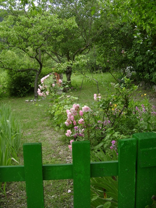 BALADE  EN  PROVENCE