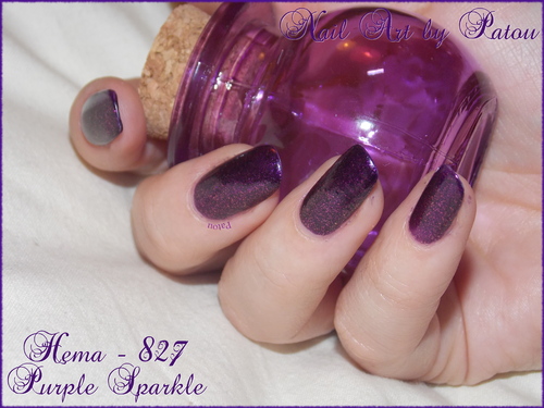 HEMA 827 - Purple Sparkle