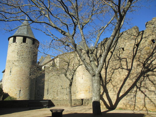Le château Comtal de la Cité de Carcassonne 