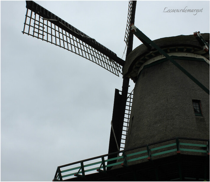 Les moulins de Zaanse Schans