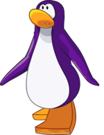 Pingouins violets