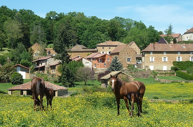 saone-1.jpg