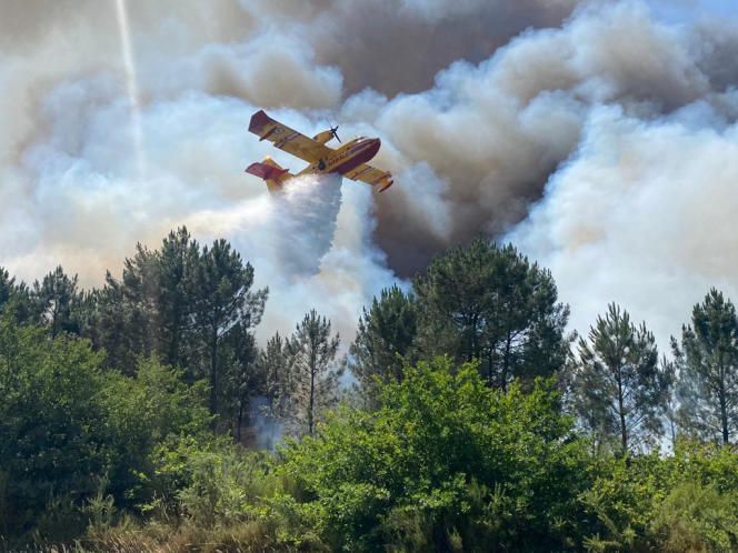 Un canadair au dessus de l'incendie de La Teste