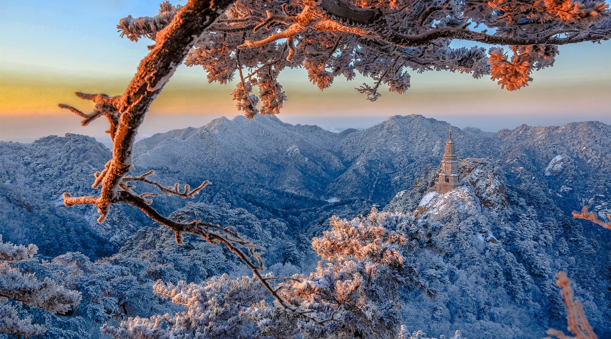 Peut être une image de nature, arbre, Parc national de Bryce Canyon et montagne