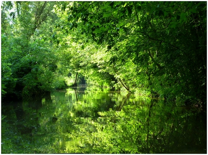 Sur les canaux  en Venise Verte 