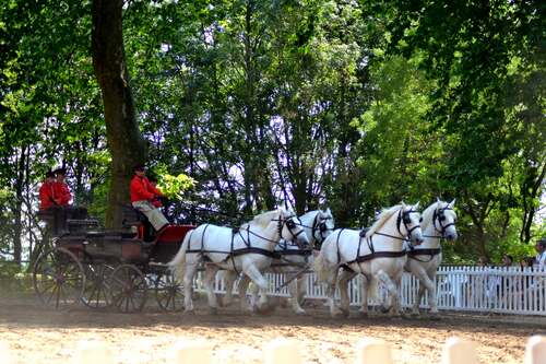 LE HARAS DU PIN - ORNE