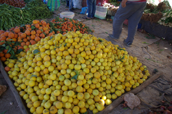 "LIM" ou ORANGE BERBERE