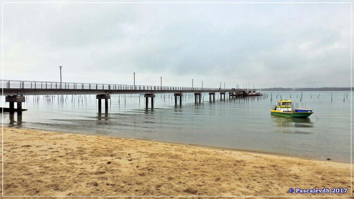 Traversée du Bassin entre Arcachon et le Cap Ferret - 7/14