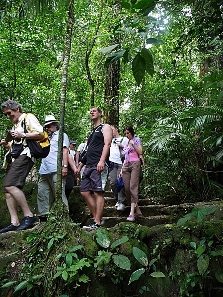 Jour 7 Palenque sentier forêt groupe