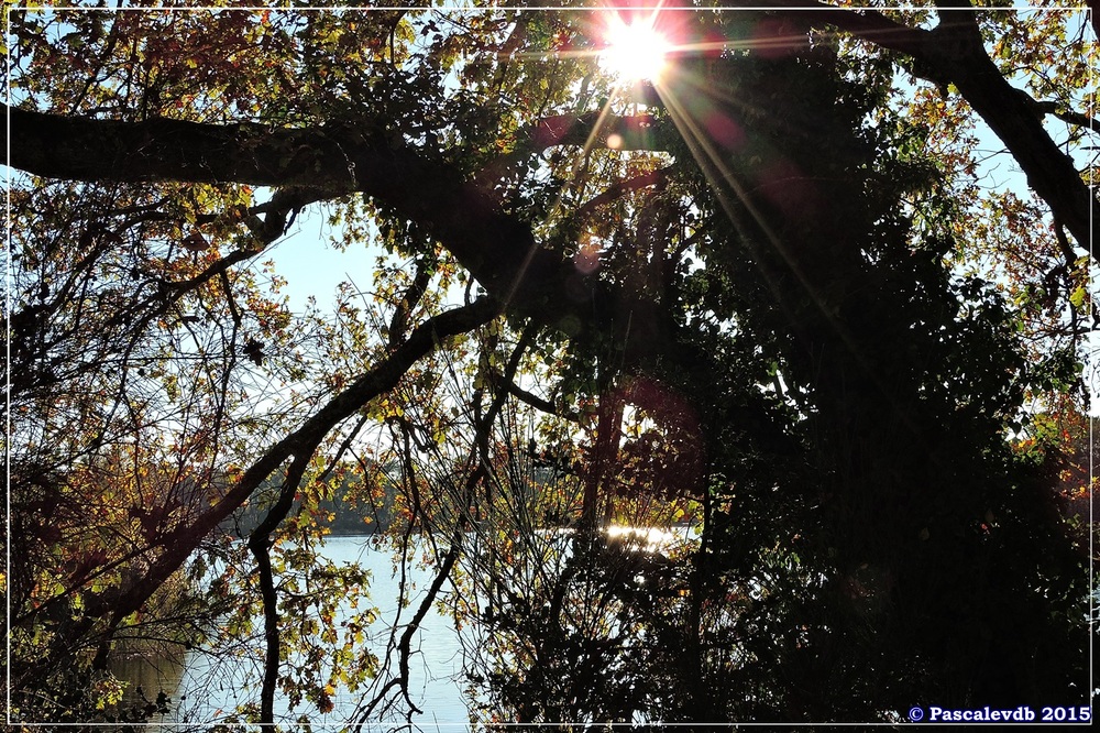 Reflets et lumières d'automne au lac du Bousquey - 3/6