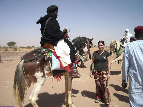 Les diverses langues nationales du Niger