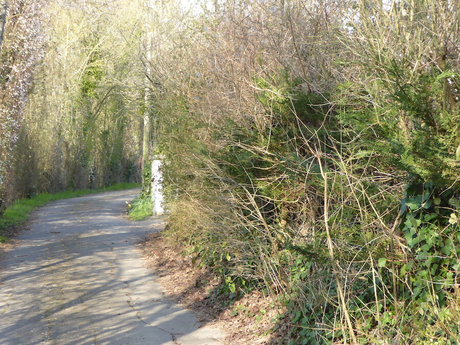 Pour vous occuper pendant ma pause: Balade dans les bas de St Cyr sur Loire.