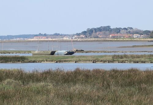 Randonnée sur le Domaine de Certes et Graveyron 