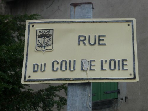 Cou de l'oie