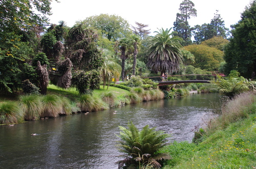 Jour 5 - d'Hanmer Spring à Akaro, Christchurch