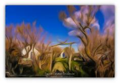 Camargue