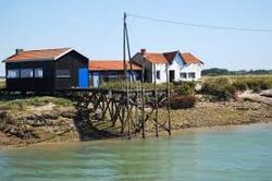 la Tremblade ( charentes maritimes )