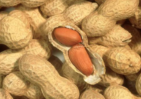 Cacahuètes - www.7sur7.be