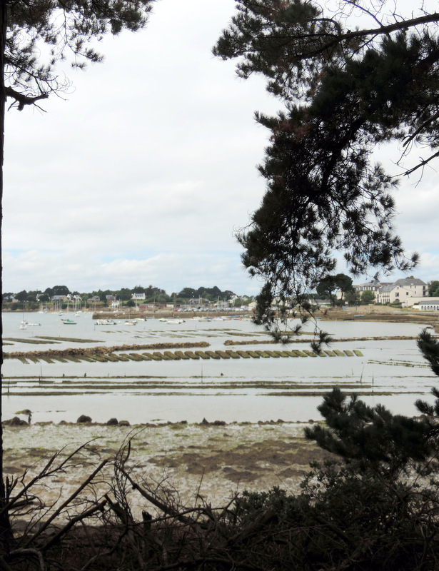 Sur l'île de Berder, Morbihan