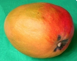 mangue