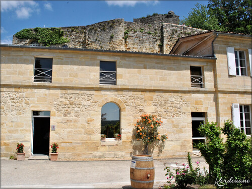 Photo domaine viticole Château Langoiran