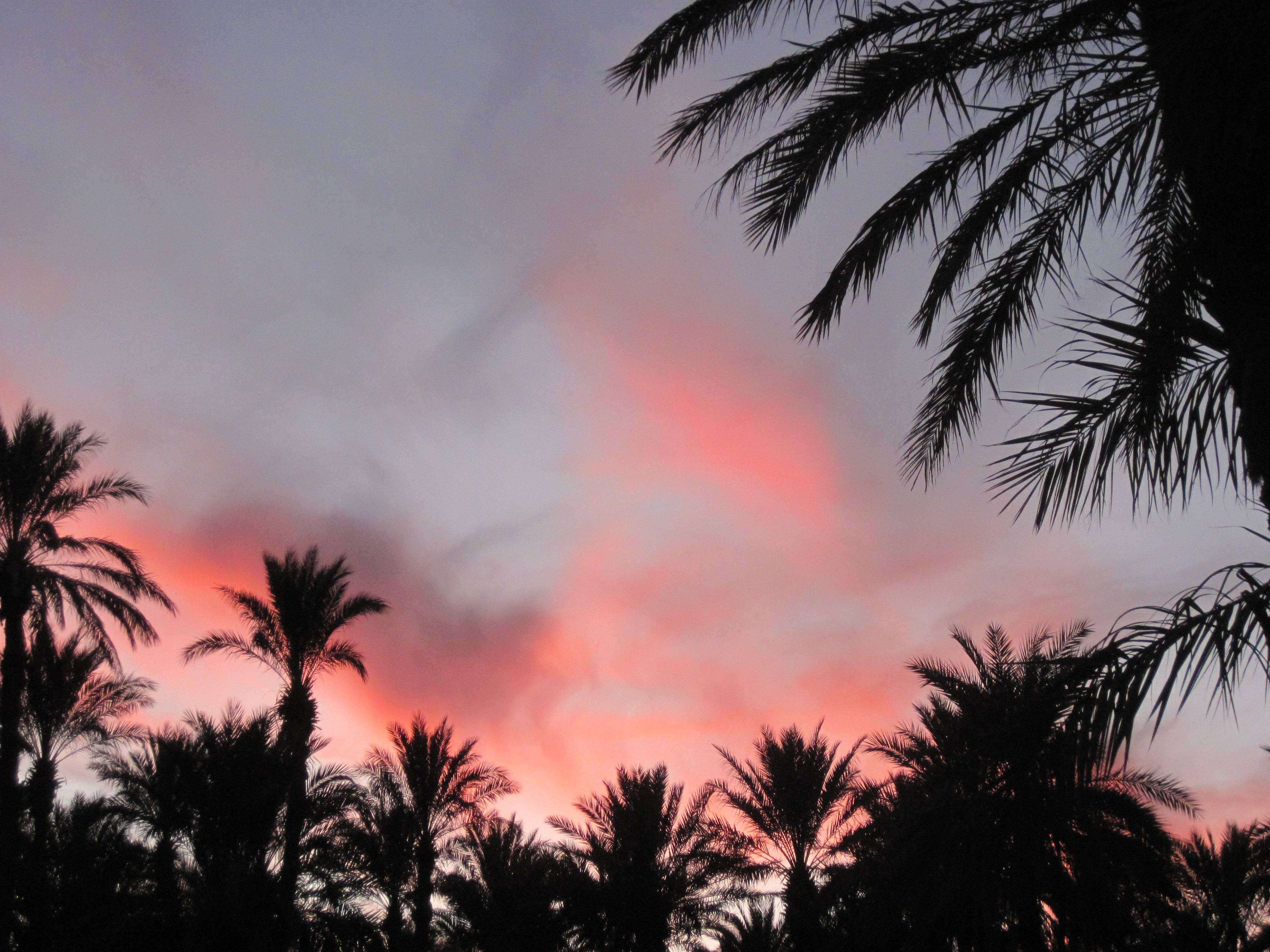 Coucher de soleil camping de Zagora