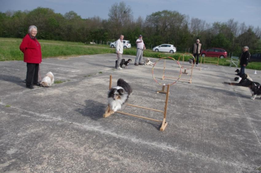 Entraînement du dimanche 13 avril 2014