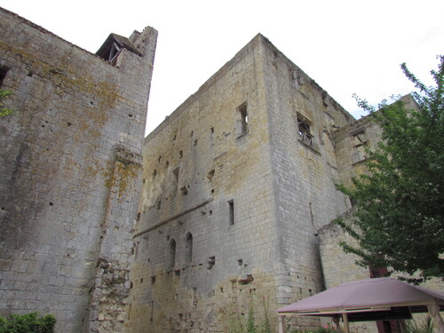 Visite dans les Pyrénées (40).