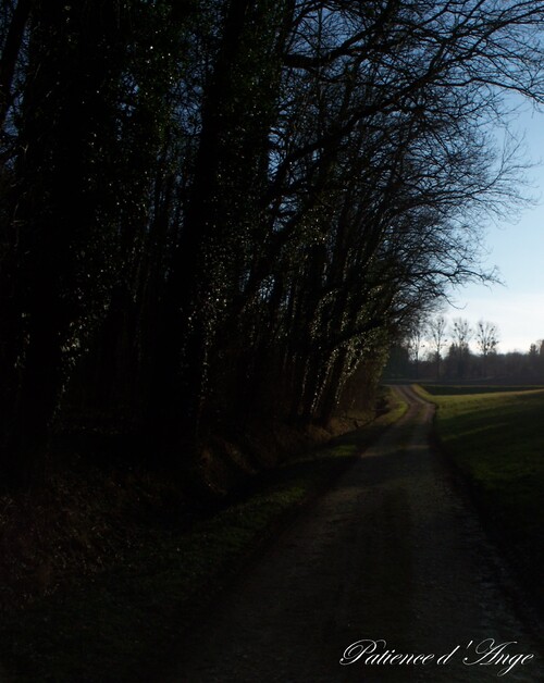 Glorenhagweg Patience d'Ange Angélique Lévy