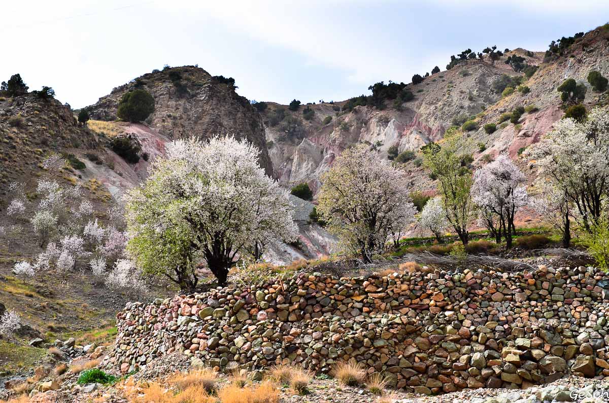 maroc