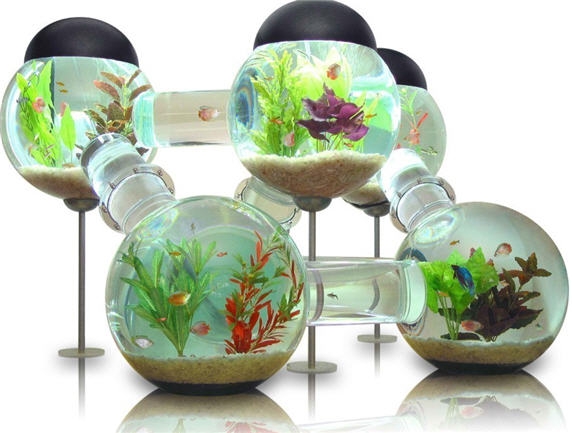 labyrinth_aquarium_oppulent