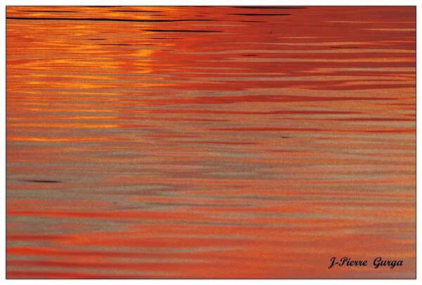 Crépuscules sur le lac de Marcenay...de magnifiques photos de Jean-Pierre Gurga ....