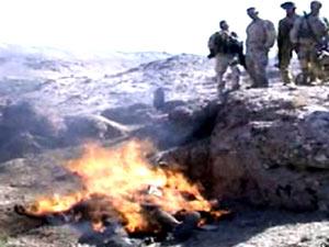 حرق الأفغان