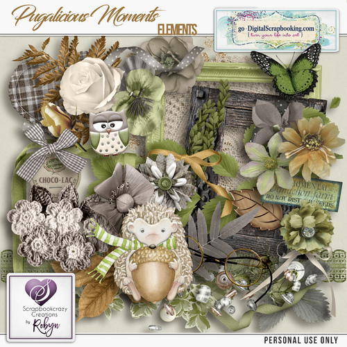 CT Scrapbookcrazy Creations by Robyn